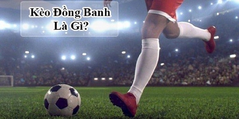 Cược đồng banh là gì?